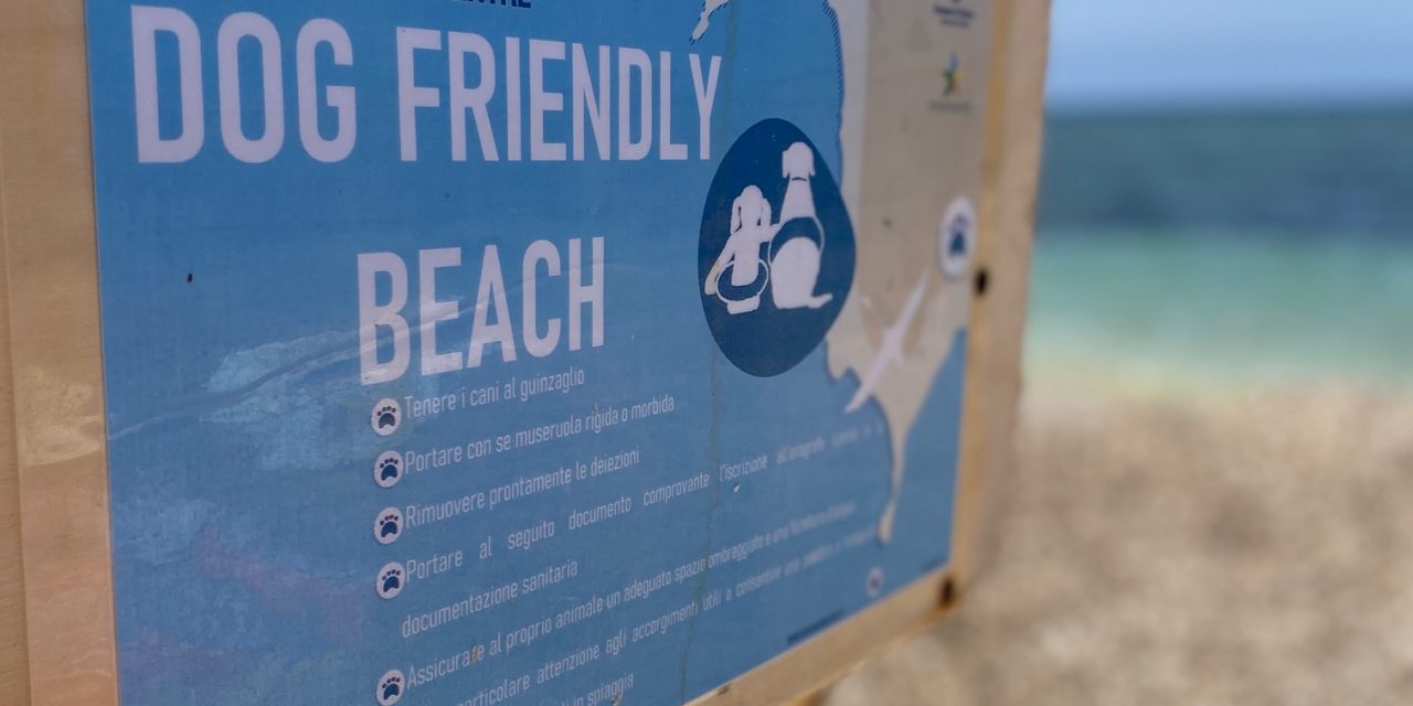 Il paradiso delle Dog Beach esiste ed è in Sardegna